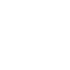 Vector